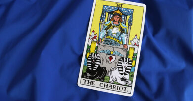 the chariot karta tarota