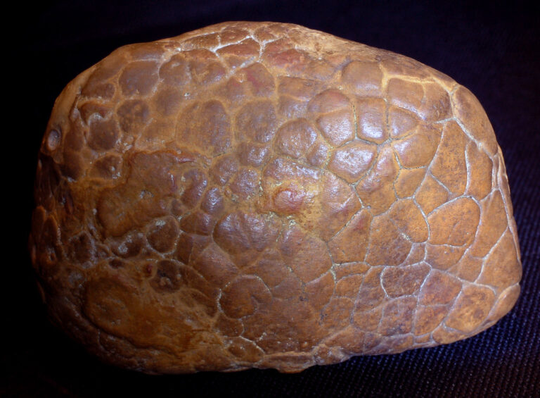 septaria kamień i jego właściwości magiczne