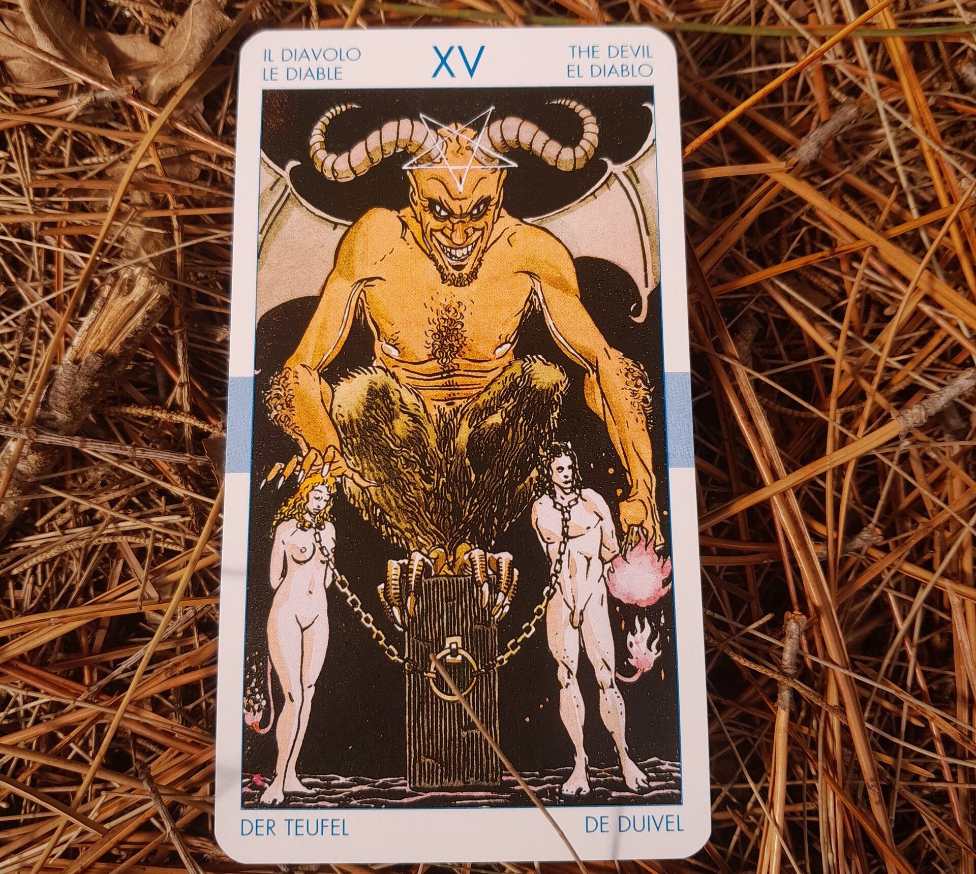 The Devil tarot card placed on dried pine needles, showing intricate artwork.