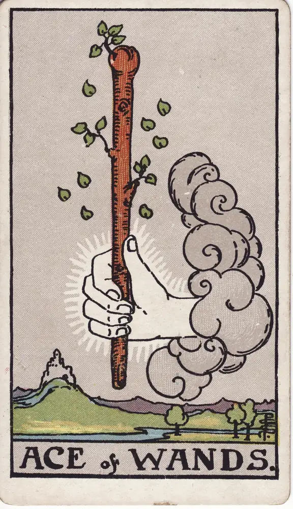 As Buław tarot – znaczenie karty Ace of Wands